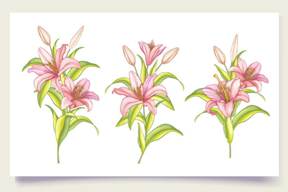 Download Hand Drawn Floral Wedding Card Set - Floral Collection