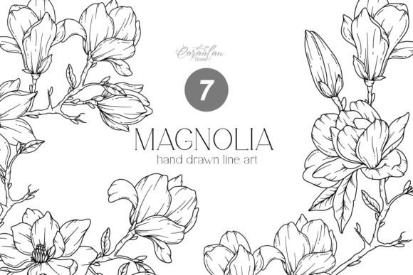 Download MAGNOLIA LINE DRAWING, Floral Line Art - Floral Collection