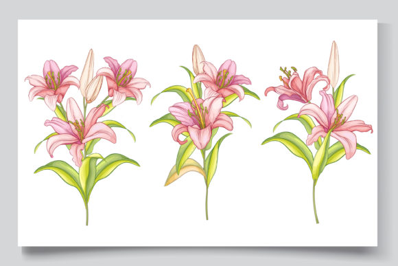 Download Hand Drawn Floral Wedding Card Set - Floral Collection