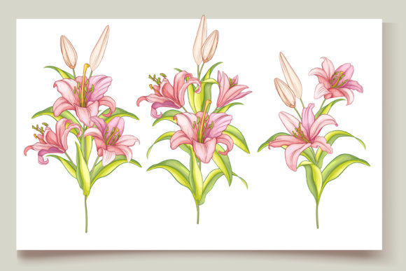 Download Hand Drawn Floral Invitation Card Set - Floral Collection