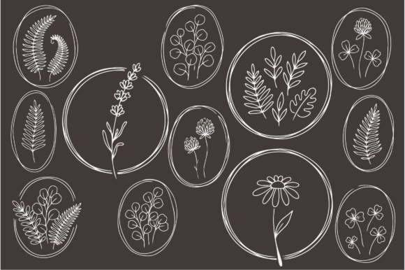 Download Botanical Floral Line Art Frames Bundle - Floral Collection