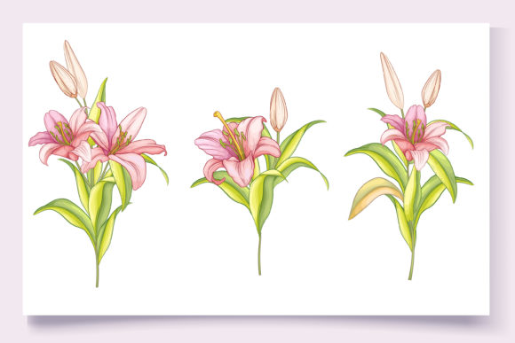 Download Hand Drawn Floral Wedding Card Set - Floral Collection