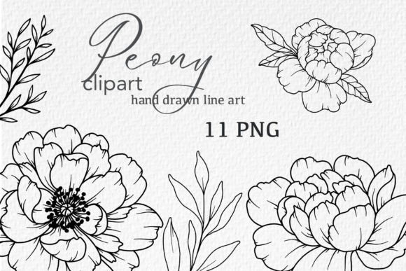 Download Peonies LINE DRAWING, Floral Line Art - Floral Collection