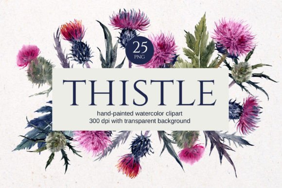 Download Thistle Watercolor Floral Clipart - Floral Collection