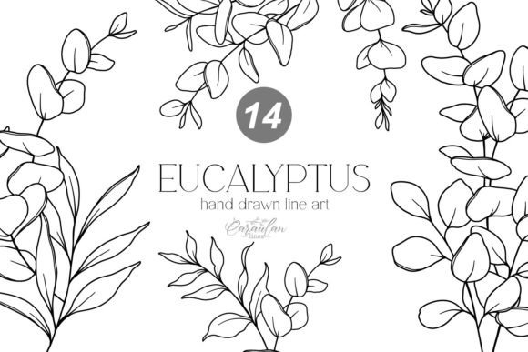 Download EUCALYPTUS LINE DRAWING, Floral Line Art - Floral Collection
